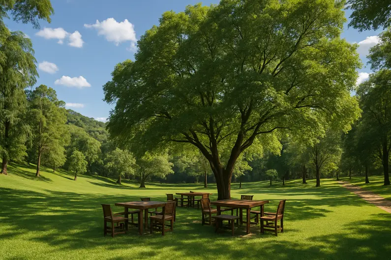 Chácara Bom Jesus: Um Espaço de Conexão com a Natureza