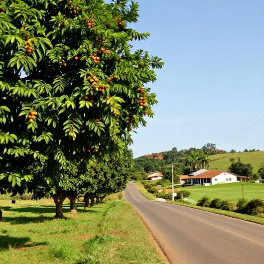 Descubra a Rota das Frutas