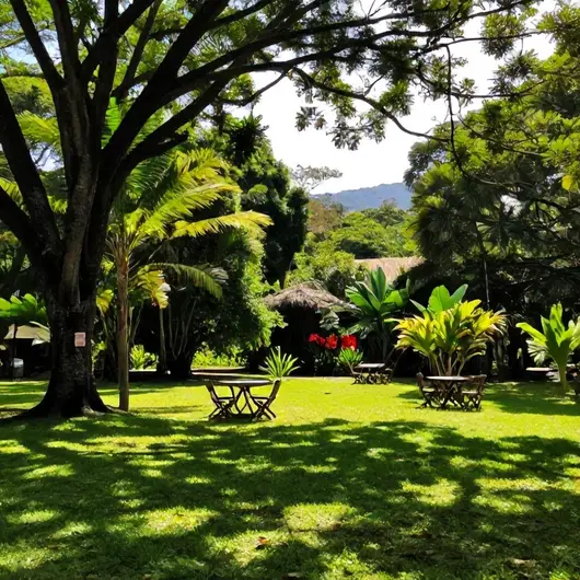 Descubra o Sitio Vale Verde Niterói