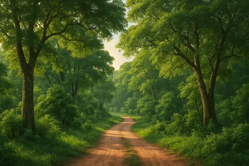 Explorando os Bosques e Áreas Verdes de Itatiba: Um Guia Completo