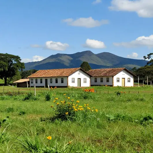 Fazenda Vila Rica