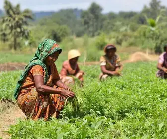 programa valoriza agricultoras em Itatiba